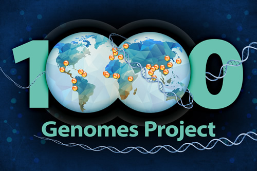 Scientists create world’s largest catalog of human genomic variation