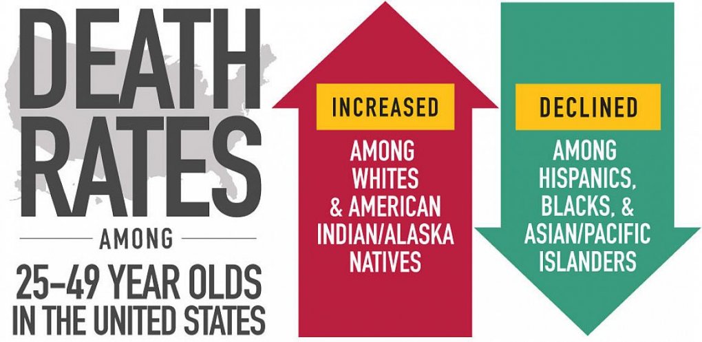 Study finds premature death rates diverge in the United States by race and ethnicity