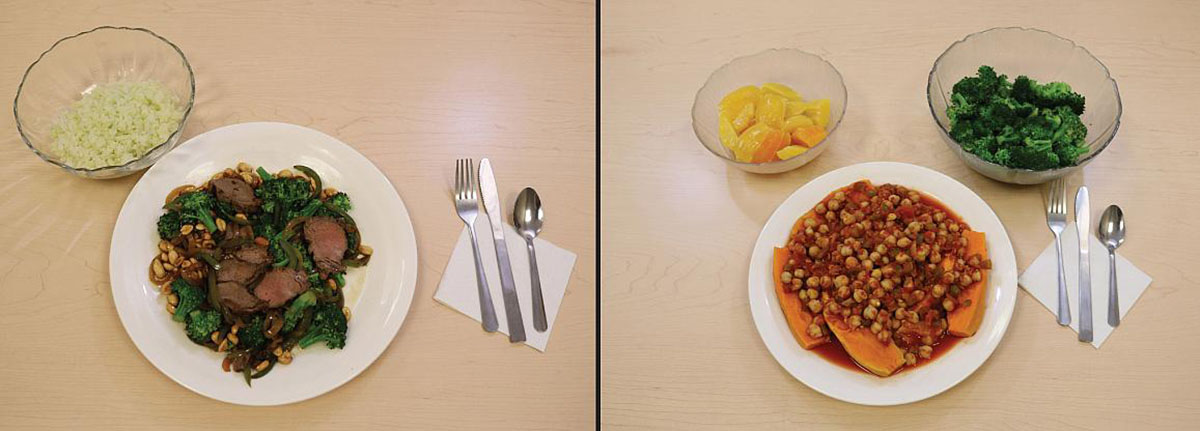 low-carb, animal-based diet (left) and low-fat, plant-based diet (right).