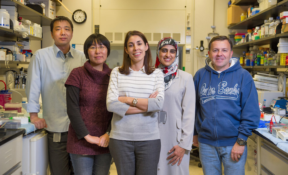 A team of researchers in the lab at the NIH IRP