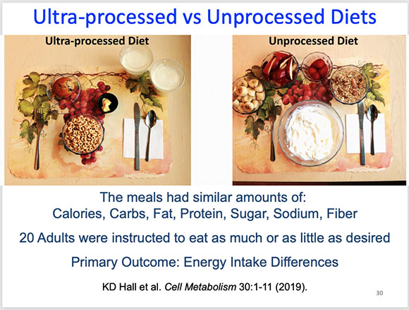 photo of foods on ultra-processed and unprocessed diets