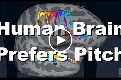 Video: Human Brain Prefers Pitch