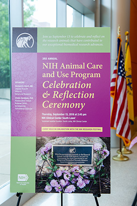 Animal Care and Use Program Celebration poster