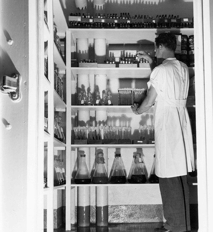 scientist in cold storage room