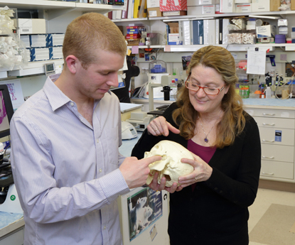 Dr. Marian Young (right) examines a plastic replica of the human skull with a postbaccalaureate fellow in her lab