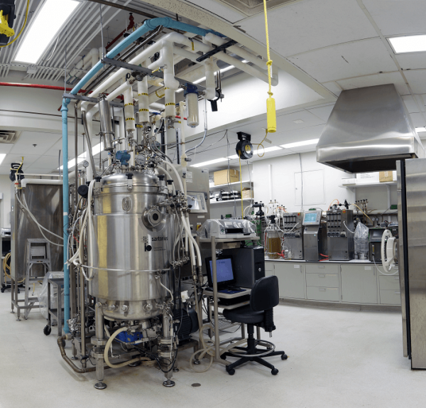 a microbial fermentation tank in Dr. Shiloach's lab