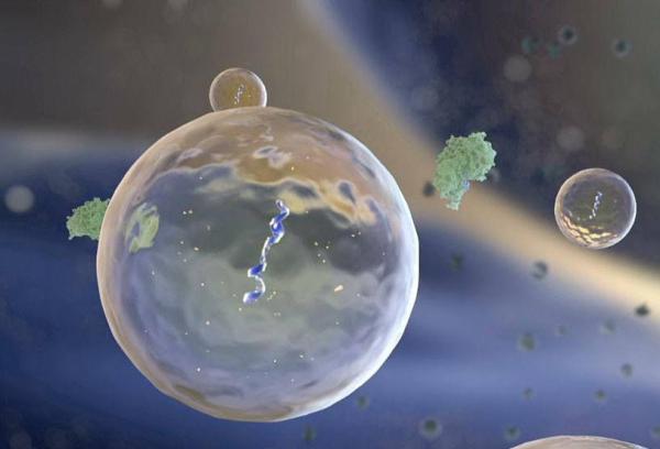 extracellular vesicles containing genetic material