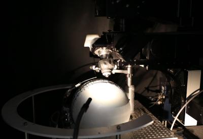 two-photon microscope