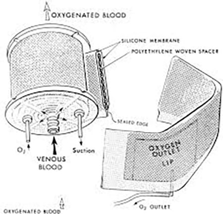 blood oxygenator