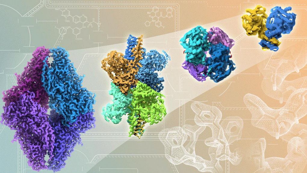 Rapid advances in cryo-EM technology, from left to right, show improving resolutions in atomic detail of proteins and drug binding sites.