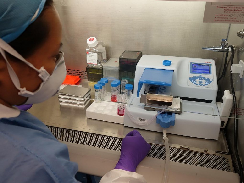 An NCATS researcher wearing a face mask and other protective clothing, dispenses Zika virus into trays for compound screening in a laboratory.