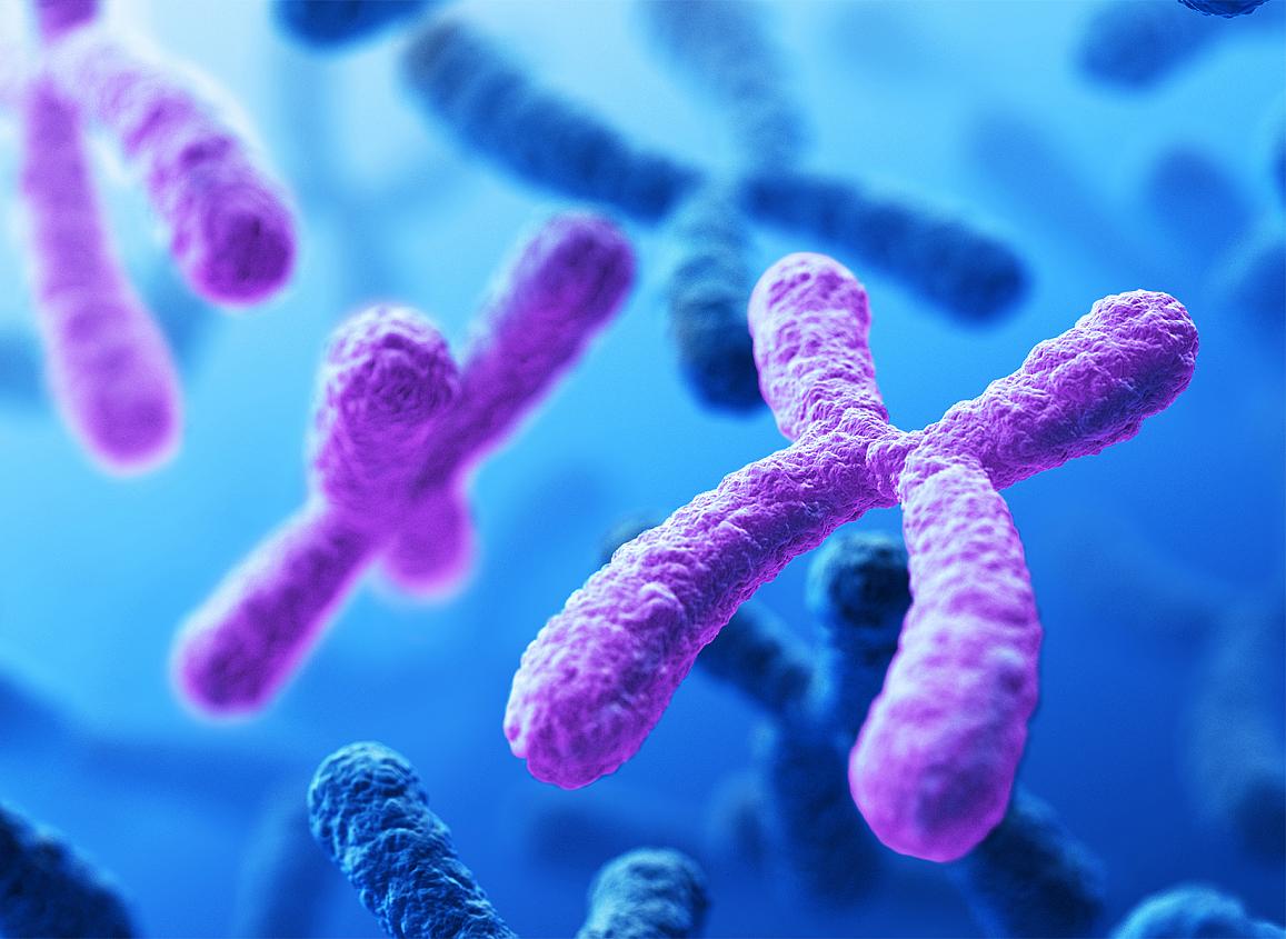Sequencing all 24 human chromosomes uncovers rare disorders