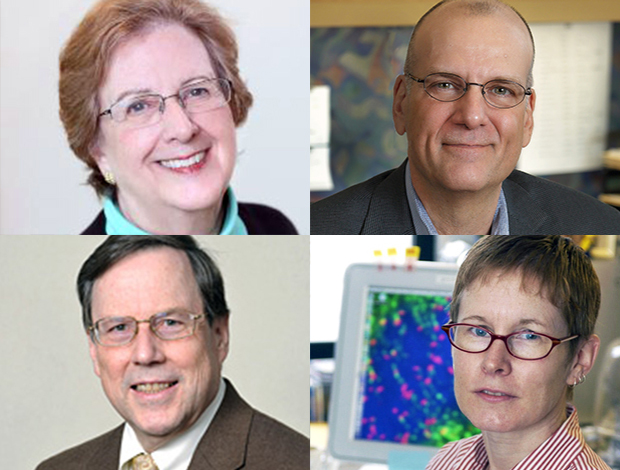 the four IRP investigators elected as 2018 AAAS Fellows