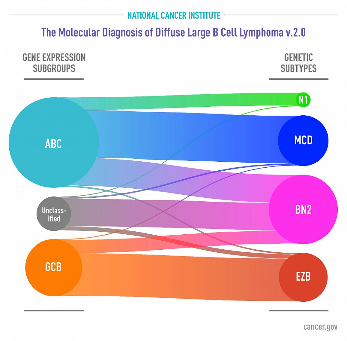 Diagram showing relationships between gene expression subgroups and genetic subtypes of diffuse large B-cell lymphoma (DLBCL)