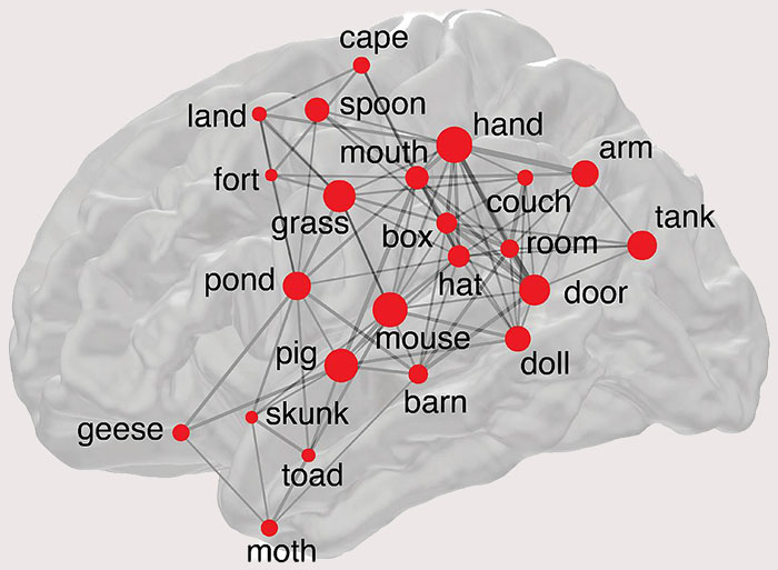 network connecting words in an image of the brain