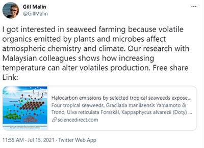 twitter page of someone interested in seaweed farming