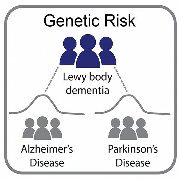 diagram showing connections between Lewy body dementia and Alzheimer's and Parkinson's disease
