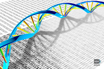 illustration of dna strand