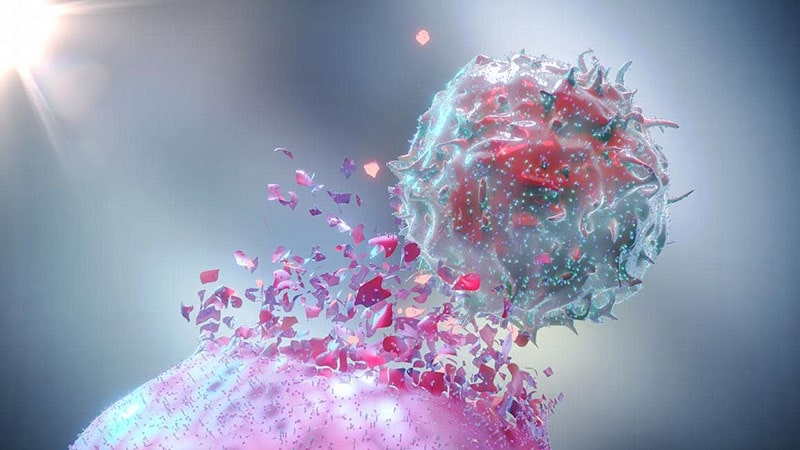 immune cell attacking a tumor cell