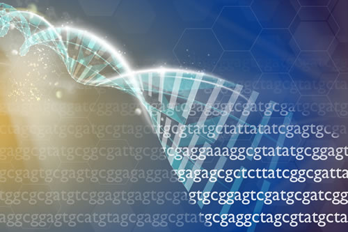 DNA strand