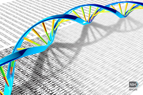 DNA sequence