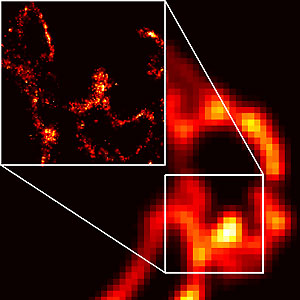 New Light Microscope Can View Protein Arrangement in Cell Structures