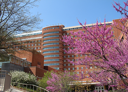 NIH Clinical Center