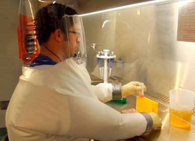 a scientist working with laboratory samples while wearing protective gear