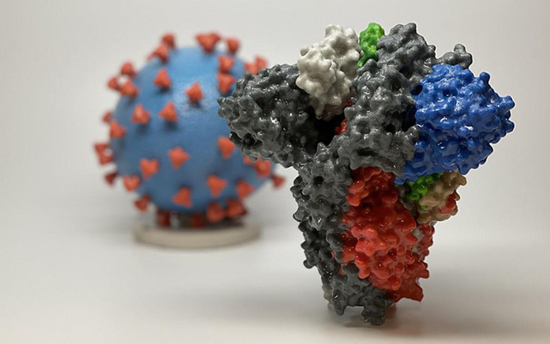 3D print of a spike protein of SARS-CoV-2, the virus that causes COVID-19, in front of a 3D print of a SARS-CoV-2 virus particle