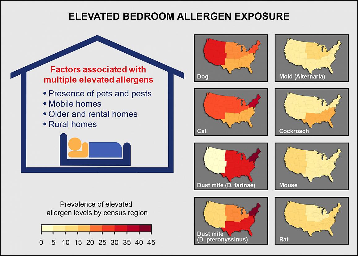 Graphic showing factors contributing to elevated bedroom allergen levels include presence of pets and pests, type of housing, and living in rural areas. Individual allergens vary by geographic area.