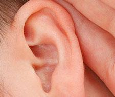 ear