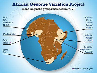 Researchers conduct comprehensive genomic study of sub-Saharan Africans