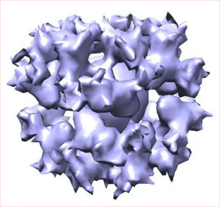 cryo-EM image of the gH/gL/gp45 candidate vaccine construct
