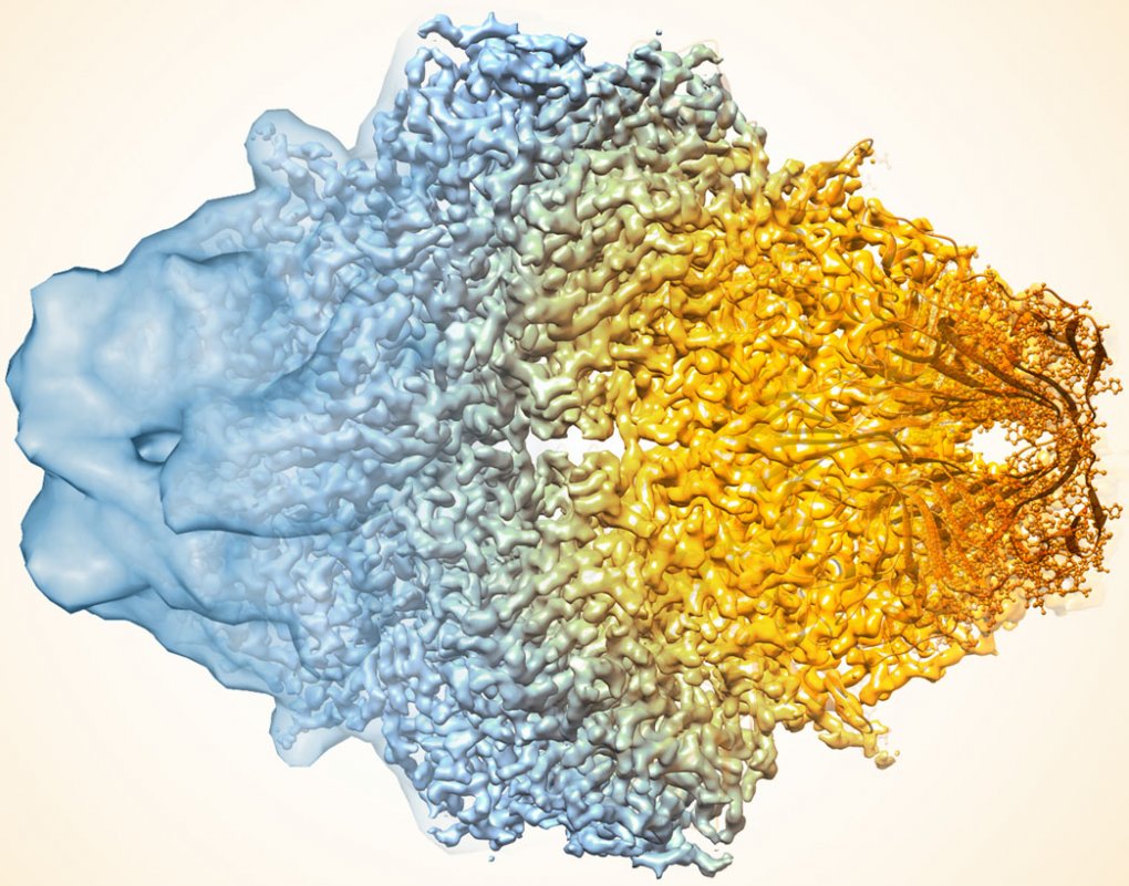 Composite image of beta-galactosidase showing how cryo-EM’s resolution has improved dramatically in recent years.