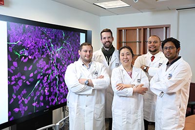 group of five scientists in front of large screen with purple image