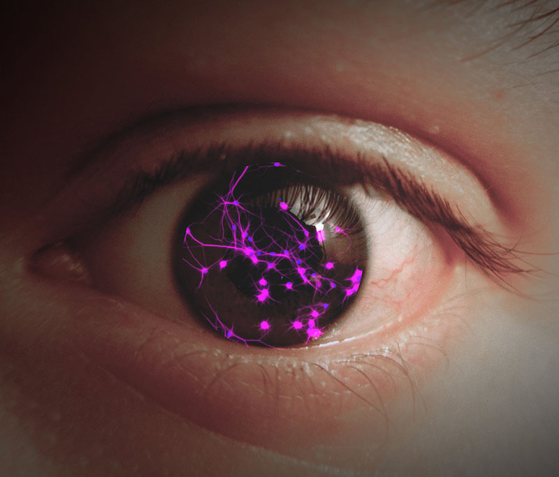 photo of eye with purple neurons superimposed