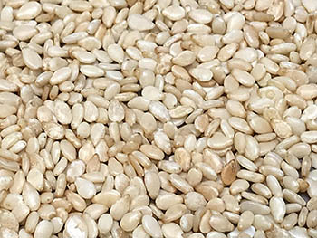 hundreds of sesame seeds.