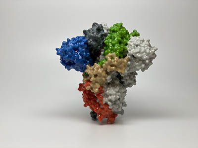 colorful 3D model of protein; looks like a vase of flowers