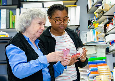 Susan Gottesman and Abbigale Perkins looking at petri dishes they are holding in the lab