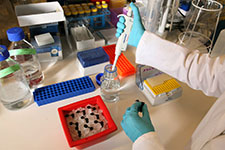 at a lab bench; arm of scientist pipetting into a small jar