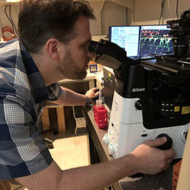  Dan Castranova looking through a microscope