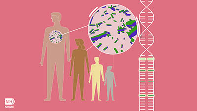 four human figures, parent and three generations; DNA depiction