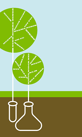 illustration of beaker and test tube