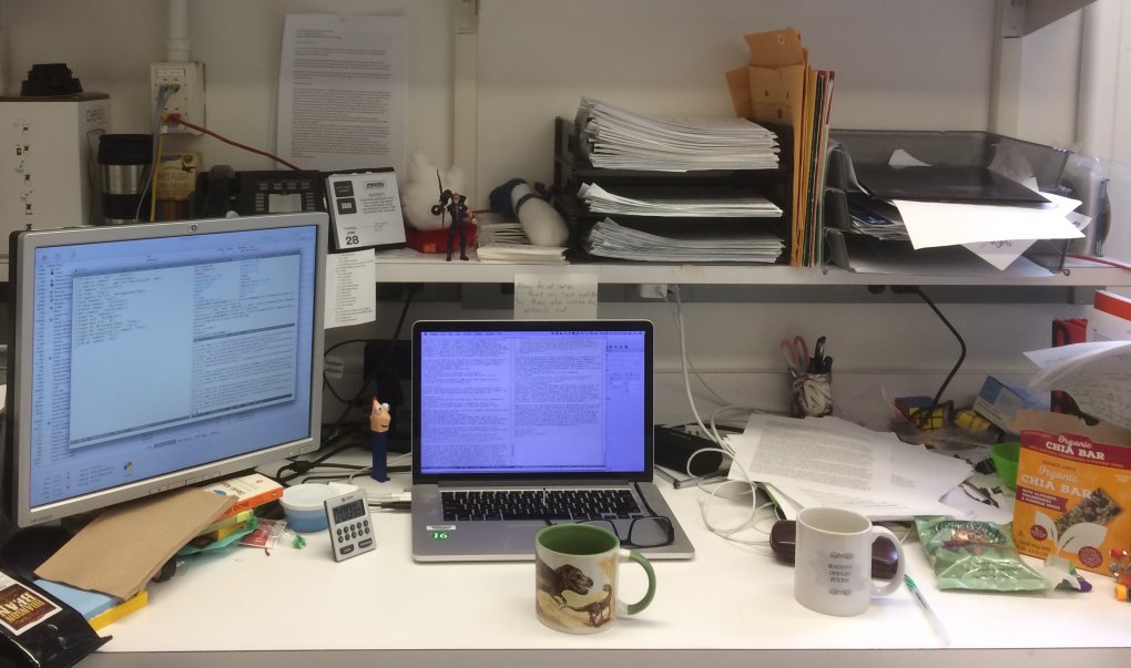 Alex's desk in the lab has a laptop, monitor and neatly organized papers (plus some dinosaur coffee mugs)