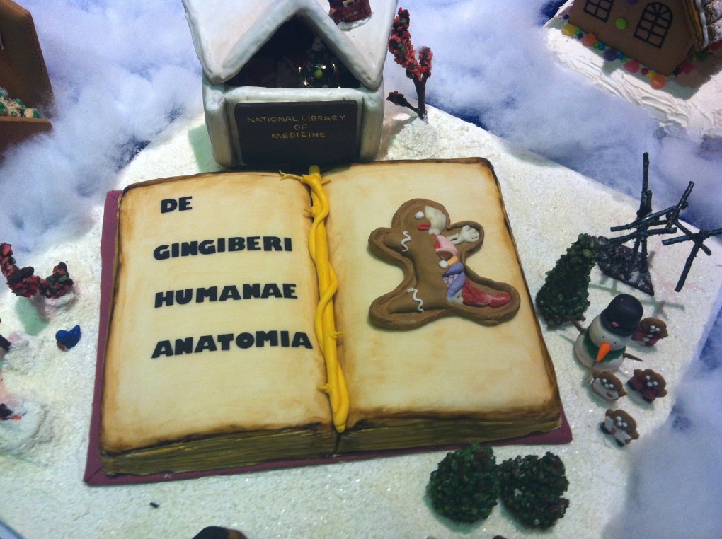 Anatomy of the Gingerbread Man