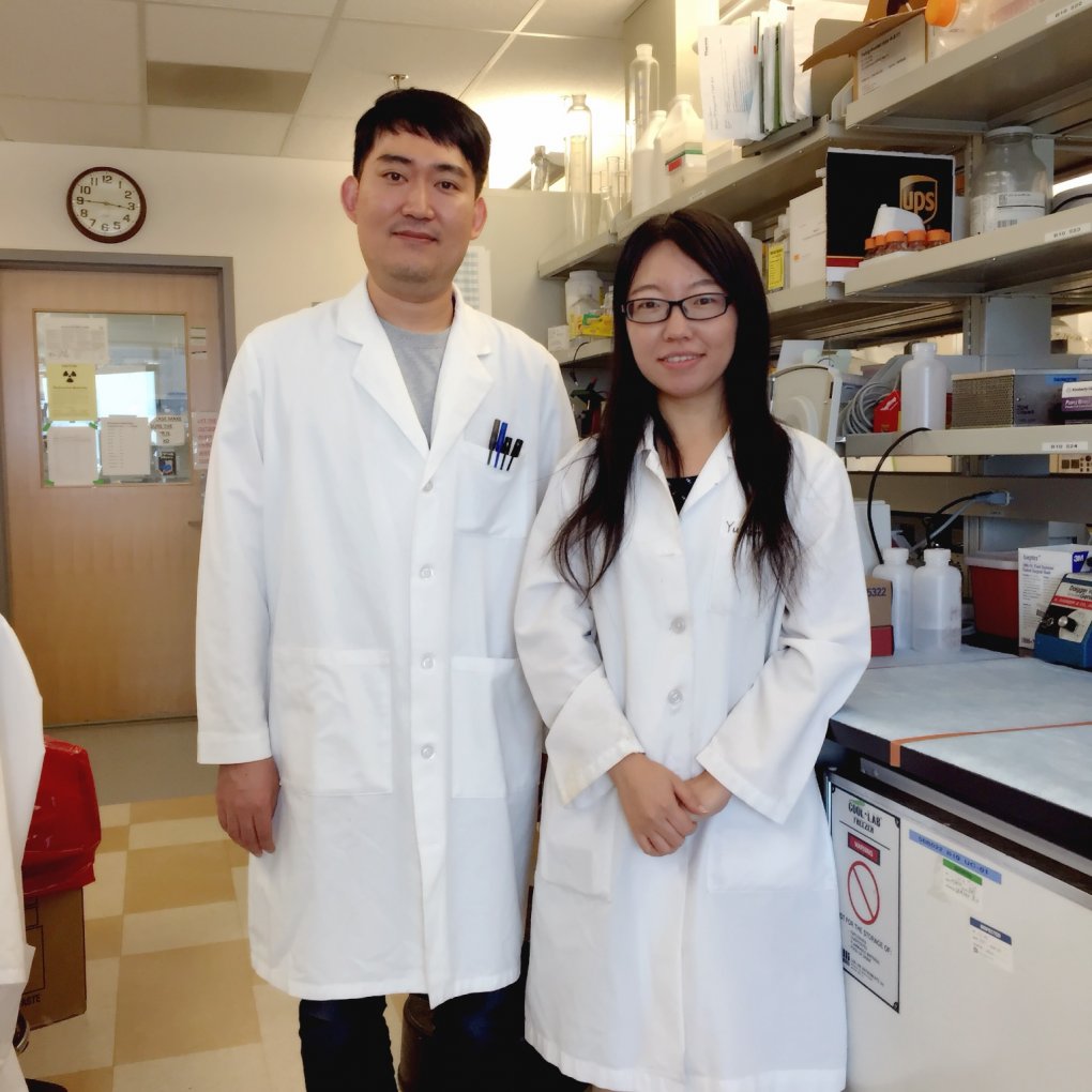 Drs. Hyundong Song and Yujun Hou, standing together here in their lab, are postdoctoral fellows working to find ways that doctors may one day effectively treat Alzheimer’s disease.
