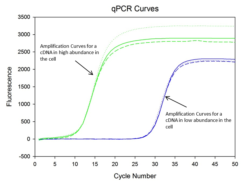 PCR curve