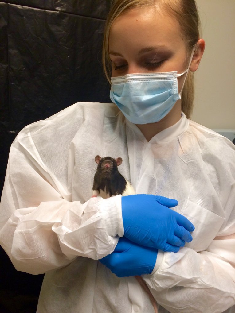 Researcher with rat