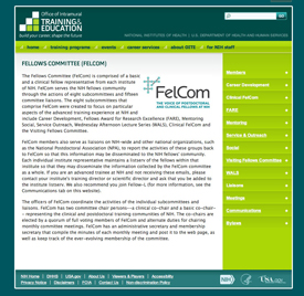  Web page for Felcom