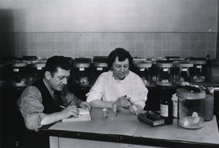 Robert Forkish and Sara Branham at a lab table working